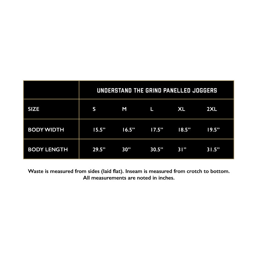 NP Embroidered Men's Panelled Jogger - Black